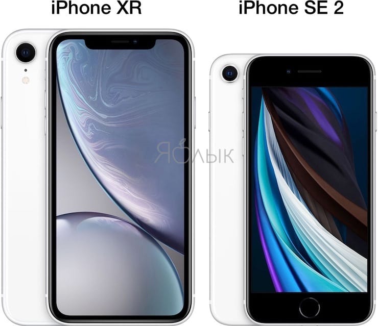 Размеры и вес iPhone SE 2 и iPhone XR